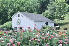 LD3812 - Hidden Behind Blooms - 18x12