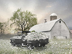 LD3815 - Willow Farm   - 16x12