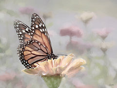 LD3820 - Sweet Zinnias - 16x12