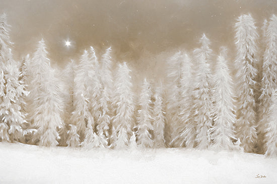 Lori Deiter LD3822 - LD3822 - Peaceful Snowscape - 18x12 snowy forest, white pine trees, winter wonderland, ethereal light, soft snow, starry sky, peaceful landscape, frosted trees from Penny Lane