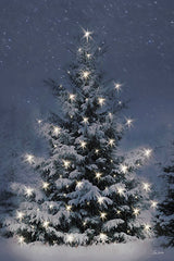 LD3839 - Twinkling Lights at Christmas - 12x18