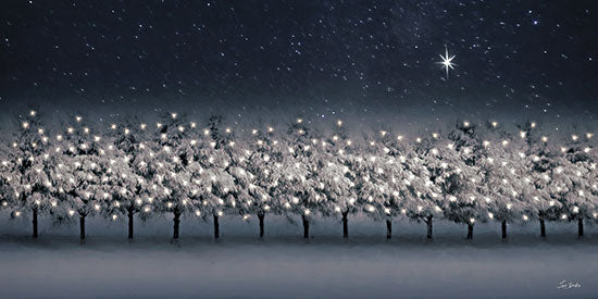 Lori Deiter LD3842 - LD3842 - Starry Night at Christmas - 18x9 row of snowy trees, night scene, twinkling lights, star in sky, symmetrical winter landscape, festive, peaceful from Penny Lane