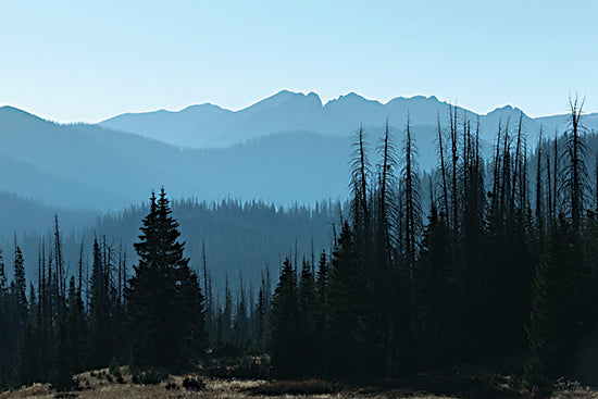 Lori Deiter LD3872 - LD3872 - Beyond the Pines - 18x12 pine forest ridges, mountain layers, misty blue tones, dusk in forest, wild terrain, remote wilderness, untouched nature from Penny Lane