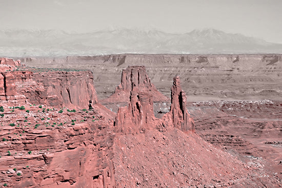 Lori Deiter LD3875 - LD3875 - Canyonlands Dreamscape - 18x12 canyon, red rocks, surreal colors, nature, landscape, cliffs, vibrant colors, unique rock formations from Penny Lane