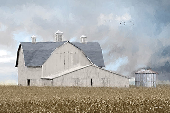 Lori Deiter LD3881 - LD3881 - Morning Glory - 18x12 barn, rural, farmland, white barn, classic architecture, country, nature, agriculture, painterly from Penny Lane
