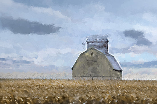 Lori Deiter LD3882 - LD3882 - Serene Acres - 18x12 old barn, field, rural, rustic, nature, farmland, cloudy sky, weathered, painterly from Penny Lane