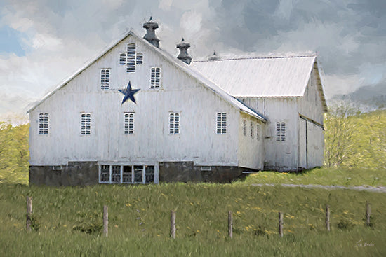 Lori Deiter LD3887 - LD3887 - Country Charm Barn - 18x12 white barn, blue star, cross-shaped vents, green grass, cloudy sky, rustic, country architecture, rural scene, peaceful, vintage from Penny Lane