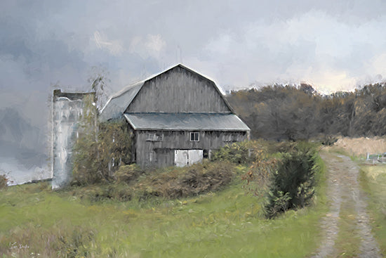 Lori Deiter LD3889 - LD3889 - Hillside Farm - 18x12 weathered barn, gray wood, vines, silo, green grass, overgrown, rustic, moody, vintage, countryside from Penny Lane