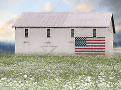 LD3893 - Summer in America - 16x12