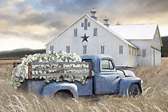 LD3918 - The Old Star Barn - 18x12