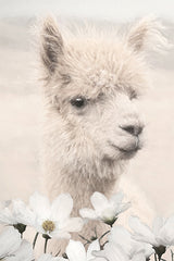 LD3931 - Floral Alpaca I - 12x18