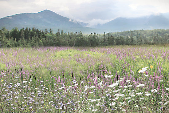 Lori Deiter LD3952 - LD3952 - Nature's Garden - 18x12 wildflower field, mountains, forest, serene landscape, peaceful, nature, lush greenery, summer from Penny Lane