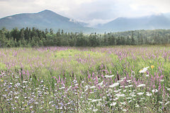 LD3952 - Nature's Garden - 18x12