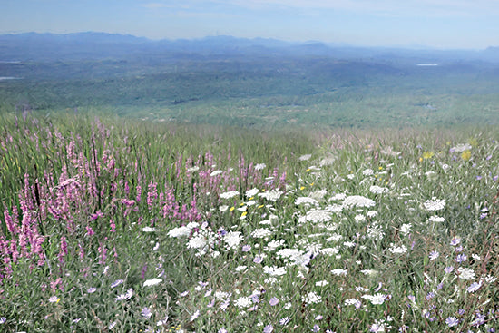 Lori Deiter LD3953 - LD3953 - Hills of Wildflowers - 18x12 wildflower meadow, mountain view, tranquil, nature, greenery, summer, scenic, peaceful from Penny Lane