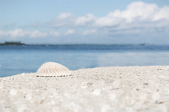 Lori Deiter LD3955 - LD3955 - Sanibel Seashell - 18x12 beach, seashell, coastal, ocean, sand, summer, tranquil, calming, scenic from Penny Lane
