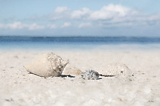 Lori Deiter LD3956 - LD3956 - Sanibel Seashells - 18x12 beach, seashells, coastal, ocean, sand, nature, tranquil, relaxing, scenic from Penny Lane