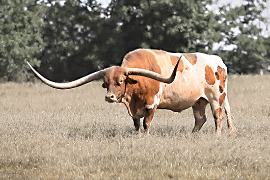 Lori Deiter LD3958 - LD3958 - Big Red   - 18x12 Texas longhorn, wide pasture, ranch animal, rural countryside, grazing bull, strong horns, Western livestock from Penny Lane