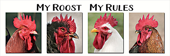 Lori Deiter LD3963 - LD3963 - My Roost My Rules - 36x12 roosters, chickens, farm animals, my roost my rules, barnyard humor, poultry, rural decor, country style, animal portraits from Penny Lane