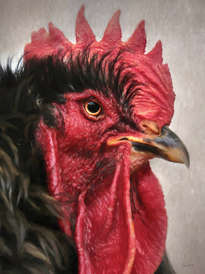 Lori Deiter LD3964 - LD3964 - Cocky - 12x16 rooster portrait, close-up, black feathers, red comb, barnyard animal, farm life, vivid color, rural theme from Penny Lane