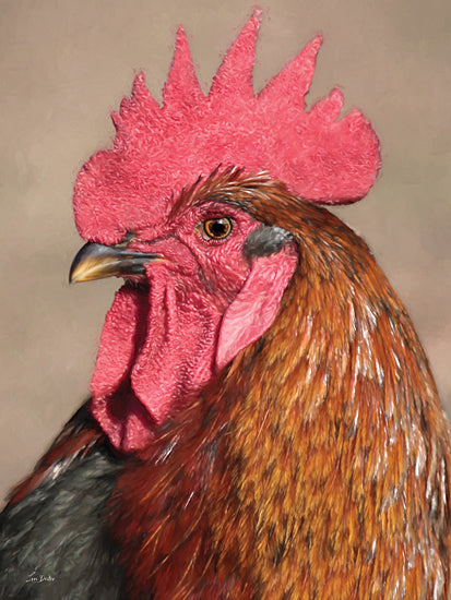 Lori Deiter LD3965 - LD3965 - Clucker - 12x16 rooster portrait, detailed feathers, side view, red comb, barnyard animal, country decor, rural charm from Penny Lane