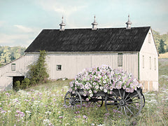 LD3974 - Summer Day at the Farm - 16x12