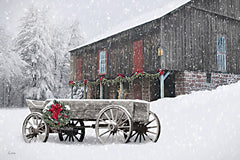 LD3979 - Festive Snowfall - 18x12