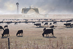 LD3980 - A Day at the Ranch - 18x12