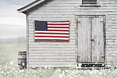 LD3987 - Old Patriotic Shed - 18x12