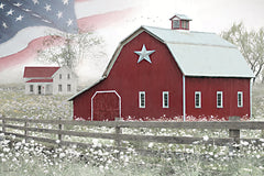 LD4005 - American Homestead - 18x12
