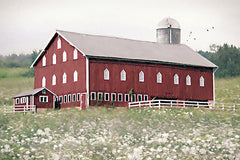 LD4008 - The Barn That Time Forgot - 18x12
