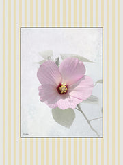LD4011 - Blooms and Birds Set II - 12x16