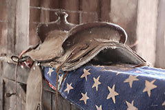 LD4051 - Patriotic Cowboy - 18x12