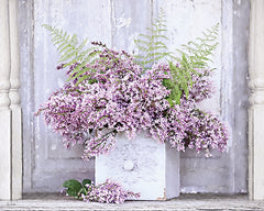 LD4059 - May Lilacs - 16x12