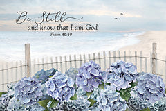 LD4070 - Be Still Coastal Hydrangeas - 18x12