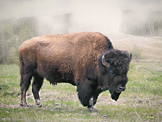 Lori Deiter LD4076 - LD4076 - Wilderness Roamer - 16x12 American bison, buffalo, green meadow, misty background, wildlife portrait, prairie animal, western plains, shaggy brown fur, nature scene, national heritage animal, rustic lodge decor, painterly wildlife art, calm grazing posture, soft country palette from Penny Lane