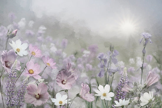 Lori Deiter LD4114 - LD4114 - Blooming Dreams II - 18x12 pastel wildflowers, cosmos, lupines, mallow, meadow, soft light, dreamy floral field, spring garden, botanical, painterly, impressionistic, lavender blooms, white flowers from Penny Lane