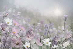 LD4114 - Blooming Dreams II - 18x12