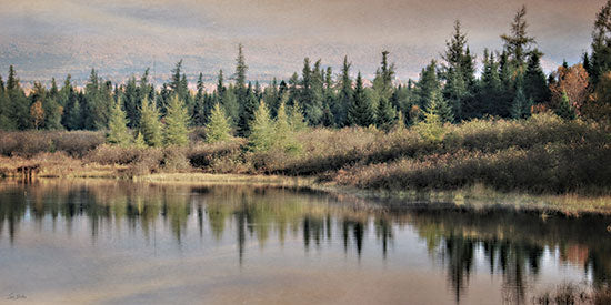 Lori Deiter LD4202 - LD4202 - Mirror to the Pines - 18x9 forest lake, evergreen trees, reflections, calm water, woodland, peaceful landscape, wilderness from Penny Lane