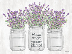 LET1077 - Bloom Where You Are Planted - 16x12