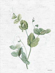 LET1096 - Botanical Trio II - 12x16