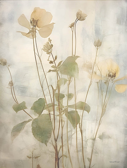 lettered & lined LET1100 - LET1100 - Flowers in the Breeze I - 12x16 delicate flowers, translucent petals, soft colors, dreamy floral from Penny Lane