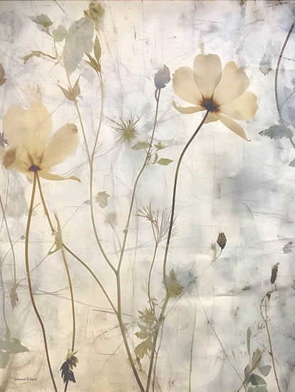 lettered & lined LET1101 - LET1101 - Flowers in the Breeze II - 12x16 artistic flowers, faded colors, vintage floral art, abstract nature from Penny Lane