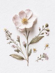 LET1195 - Pressed Flowers II - 12x16