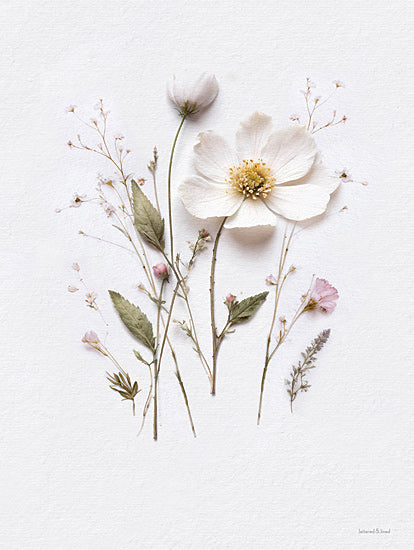 lettered & lined LET1198 - LET1198 - Pressed Flowers V - 12x16 white blossom, pressed flowers, floral stems, natural art, minimalist bouquet, nature wall decor, rustic print from Penny Lane