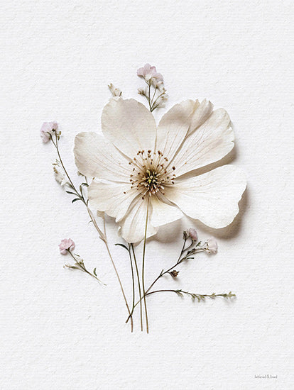 lettered & lined LET1199 - LET1199 - Pressed Flowers VI - 12x16 white flower, minimalist bouquet, dainty blossoms, pressed flower art, botanical decor, rustic floral print from Penny Lane