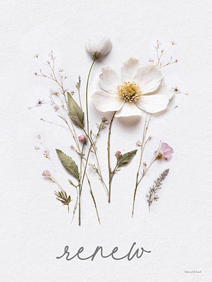 lettered & lined LET1248 - LET1248 - Renew Pressed Flowers - 12x16 pressed flower arrangement, soft pinks and greens, nature quote, artistic typography, floral decoration, inspirational renew text, botanical fine art from Penny Lane