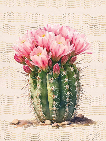 lettered & lined LET1296 - LET1296 - Cactus Charm III - 12x16 barrel cactus, pink cactus flowers, watercolor bloom, desert flora, prickly green cactus, stylized desert plant from Penny Lane