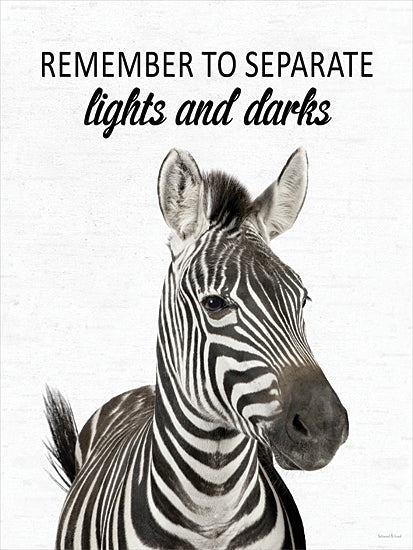 lettered & lined LET1315 - LET1315 - Separate Lights and Darks Zebra - 12x16 zebra, separate lights and darks, laundry advice, animal stripes, funny laundry art from Penny Lane