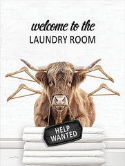 LET1324 - Laundry Room Highland - 12x16