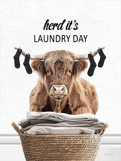 lettered & lined LET1327 - LET1327 - Herd It's Laundry Day Highland - 12x16 cow, laundry, socks, hanging, funny, pun, humor, whimsical, typography from Penny Lane